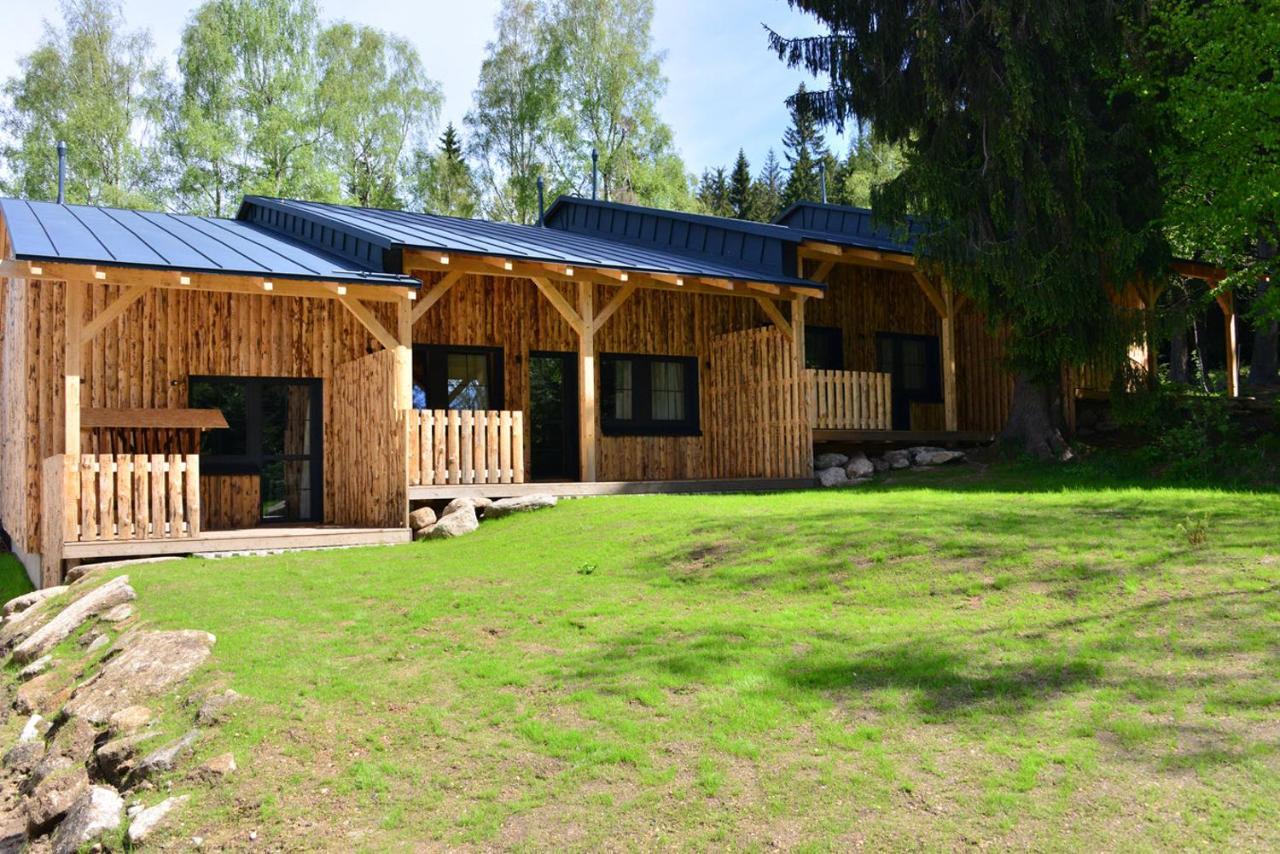 Montanie Resort Hotel Desna (Liberec)