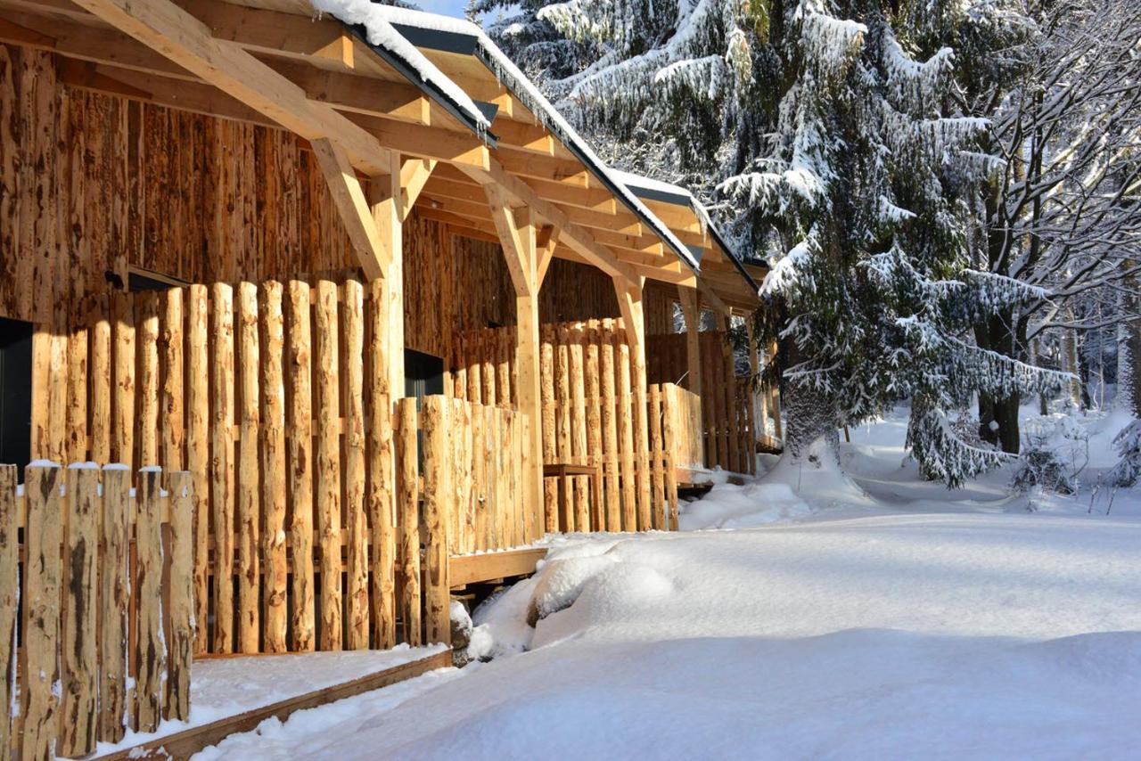 Montanie Resort Desna (Liberec)