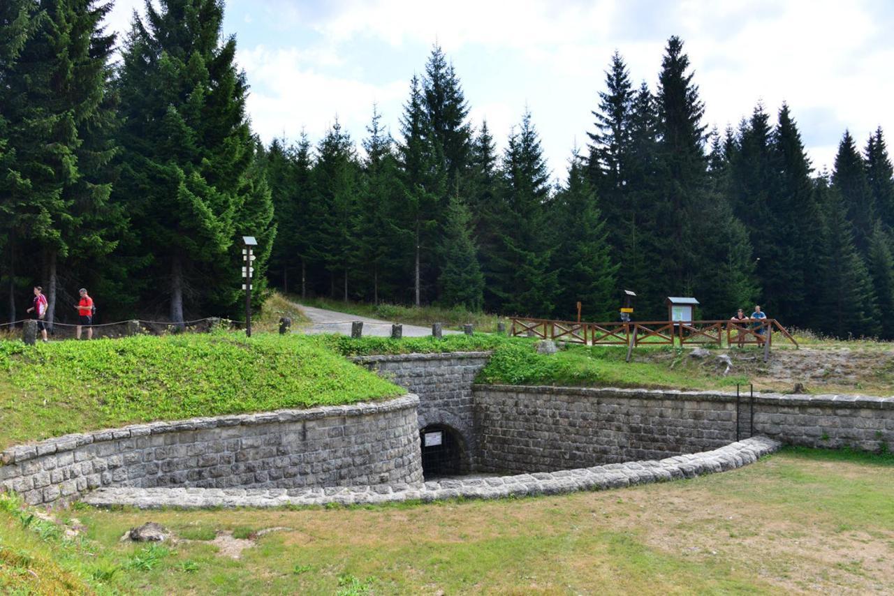 Hotel Montanie Resort Desna (Liberec)
